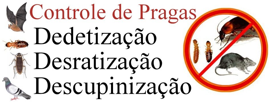 Dedetiza O E Controle De Pragas Urbanas Em Salvador Brasil Links