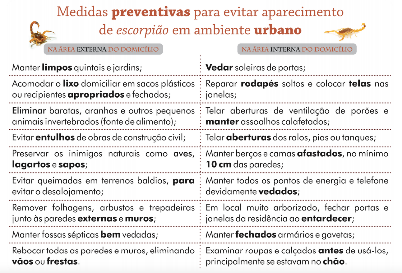 Medidas preventivas para evitar escorpiões