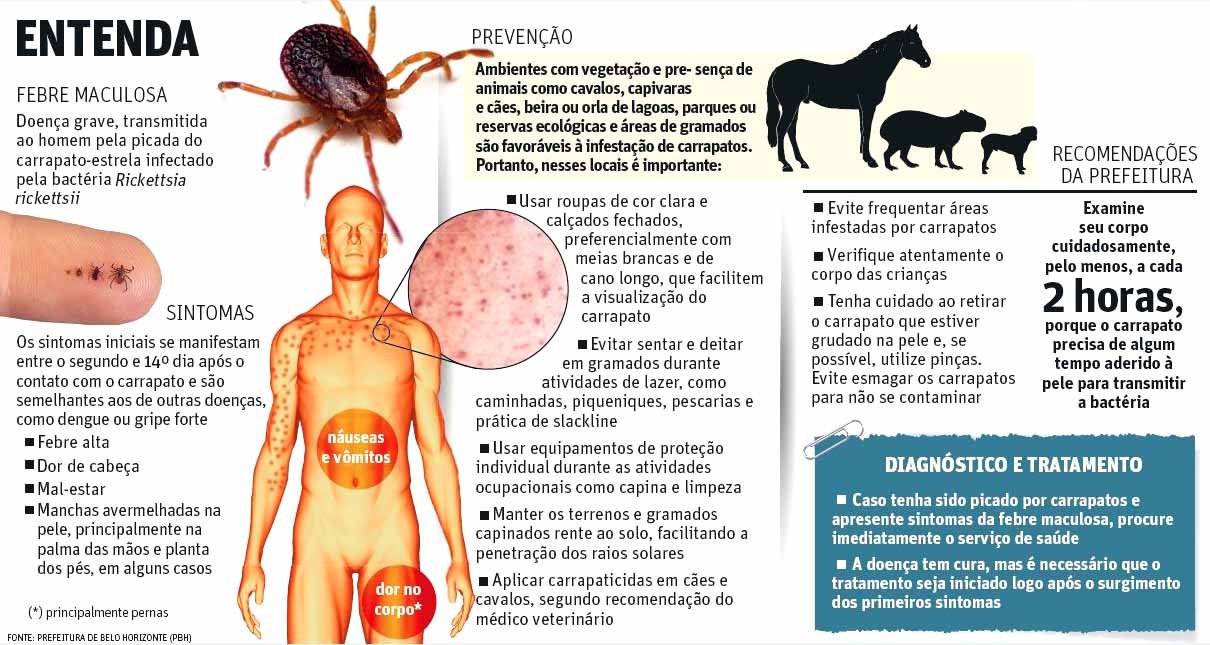 Entenda sobre o carrapato