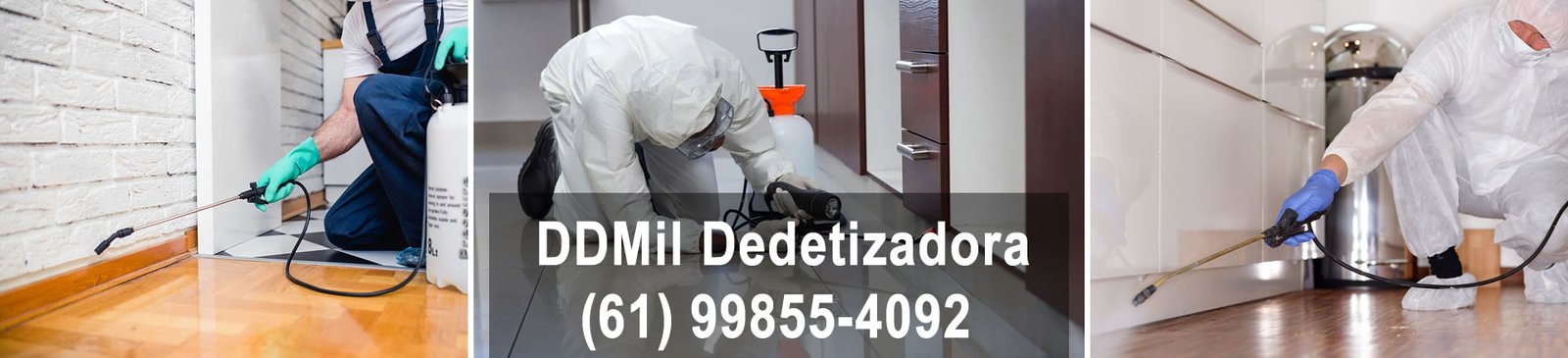 Dedetizadora DDMil