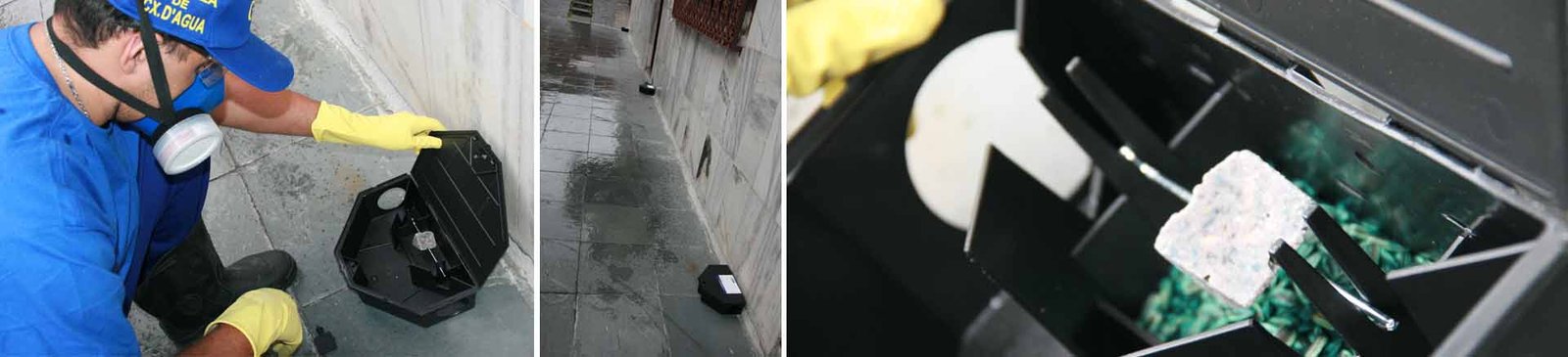 Dedetizadora preço justo