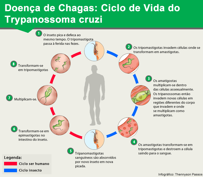 Dedetizadora preço justo
