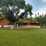Clinica para drogados em Campinas