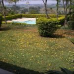 Clinica para drogados em Campinas
