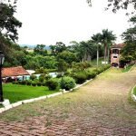 Clinica para drogados em Campinas