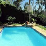 Clinica para drogados em Campinas