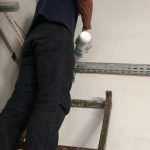 Dedetização de pragas urbanas em Manaus