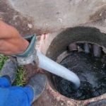 Serviço de dedetização de insetos em Campinas