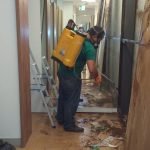 Serviços de dedetização de baratas em São Luís
