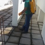 Serviços de dedetização de baratas em São Luís