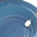 Controle de pragas em Contagem