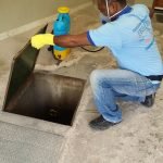 Controle de pragas em Contagem