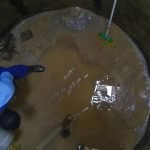 Dedetização de insetos em Betim