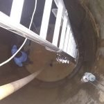 Dedetização de insetos em Betim