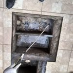 Dedetização de insetos em Betim