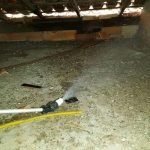 Dedetização de insetos em Betim