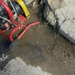 Dedetização de insetos em Betim